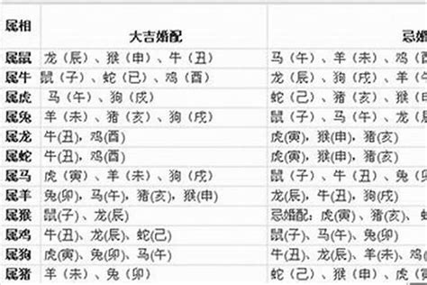 羊跟狗|生肖羊跟生肖狗合财吗 属狗和属羊的合不合